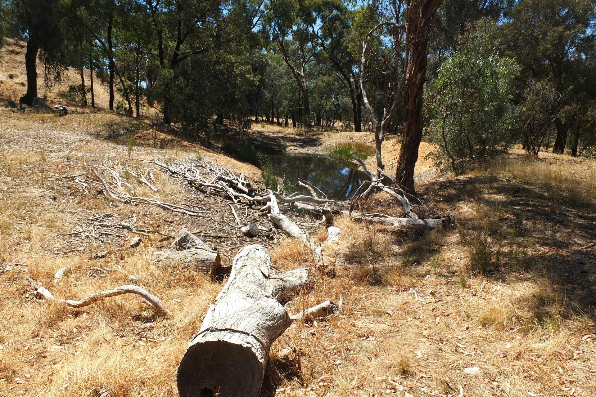 CA 44 Sec Moyreisk Road, Redbank, VIC, 3477 Sold Elders Real Estate