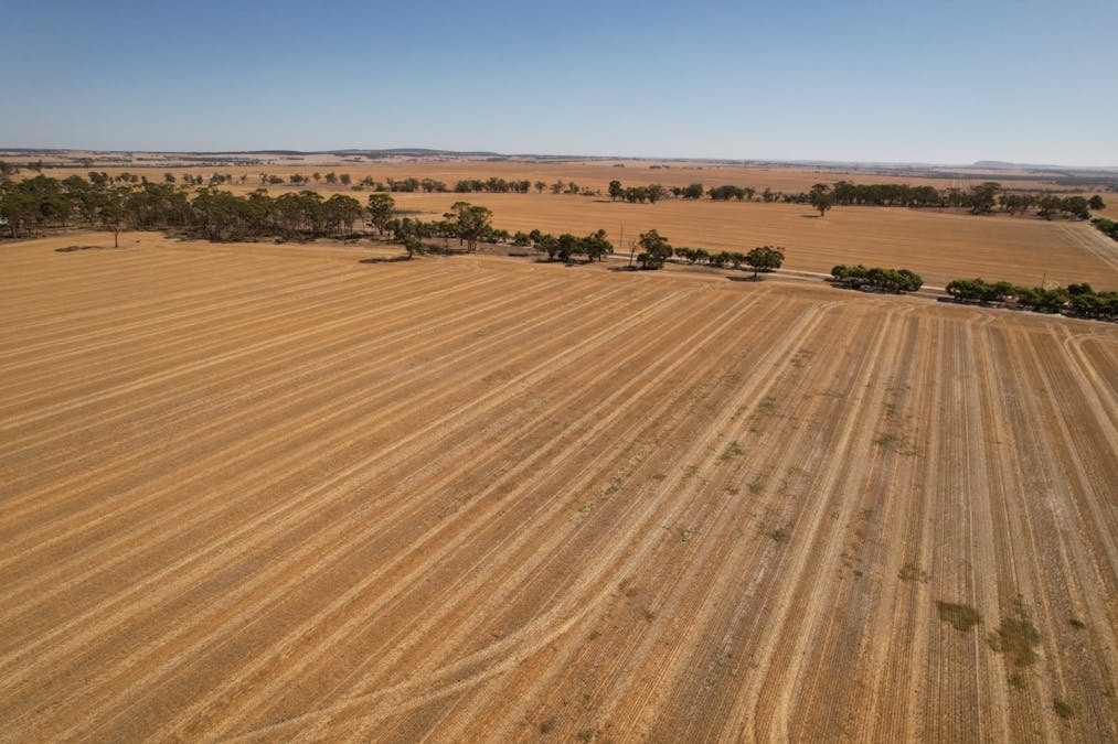 273 Boundary Road, Warding East, WA, 6405 - Image 1