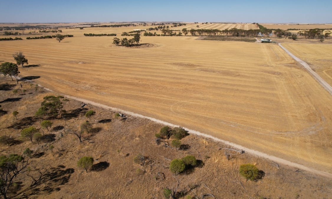 273 Boundary Road, Warding East, WA, 6405 - Image 5