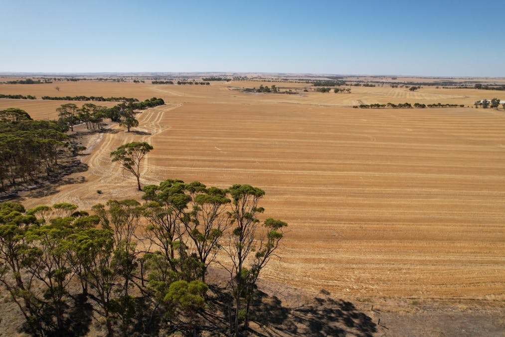 273 Boundary Road, Warding East, WA, 6405 - Image 14