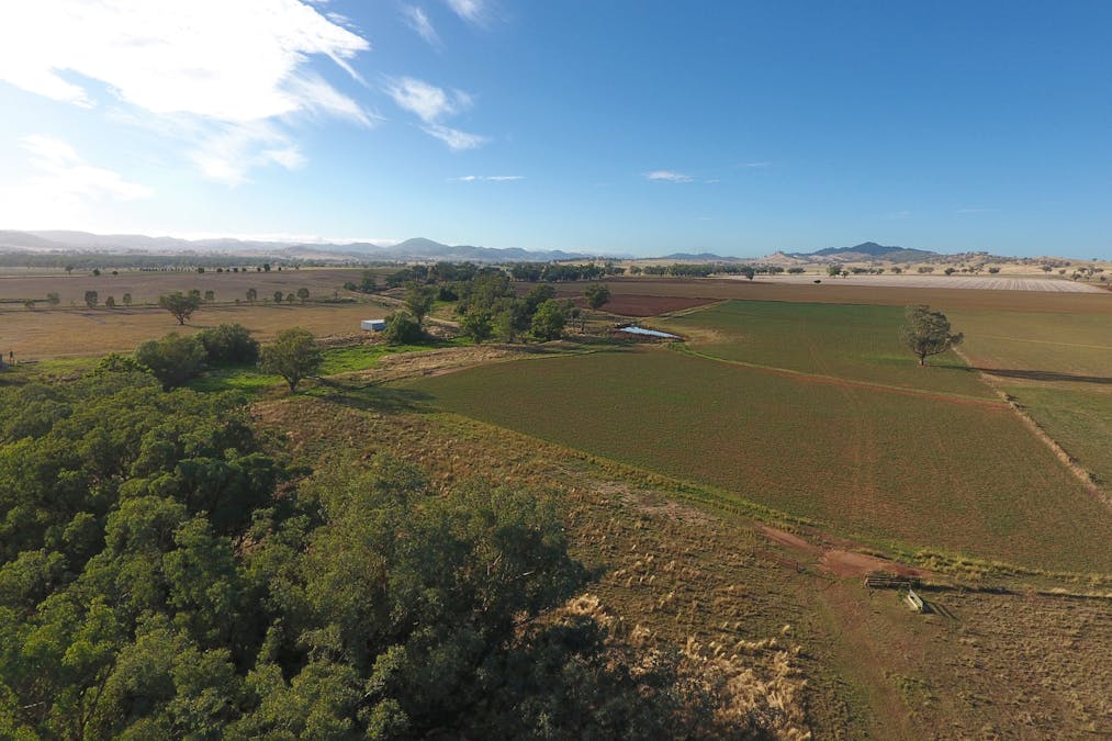 1488 Kia Ora Lane, Tamworth, NSW, 2340 - Image 23