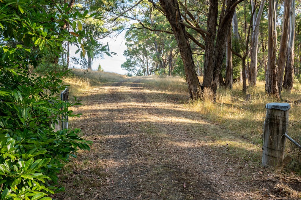 1024 Tames Road, Strathbogie, VIC, 3666 - Image 2