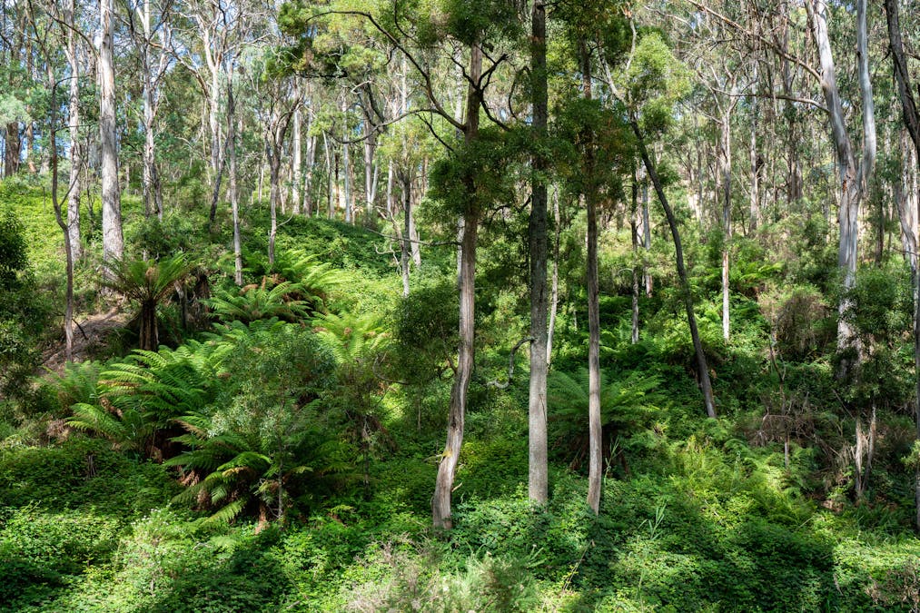 1024 Tames Road, Strathbogie, VIC, 3666 - Image 4