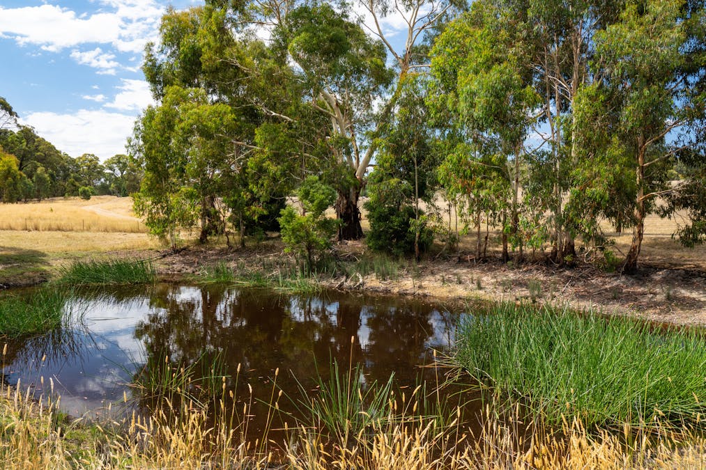 1024 Tames Road, Strathbogie, VIC, 3666 - Image 11