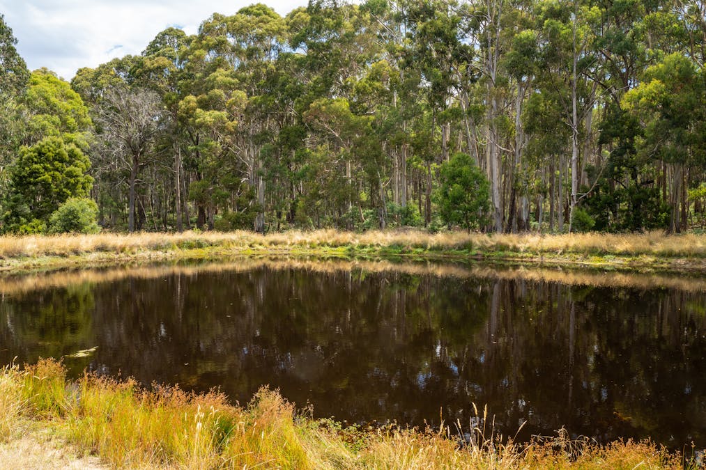 1024 Tames Road, Strathbogie, VIC, 3666 - Image 12