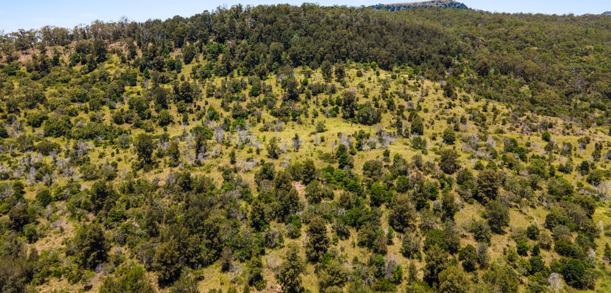 Lot 31 Dolleys Road, Withcott, QLD, 4352 - Image 9