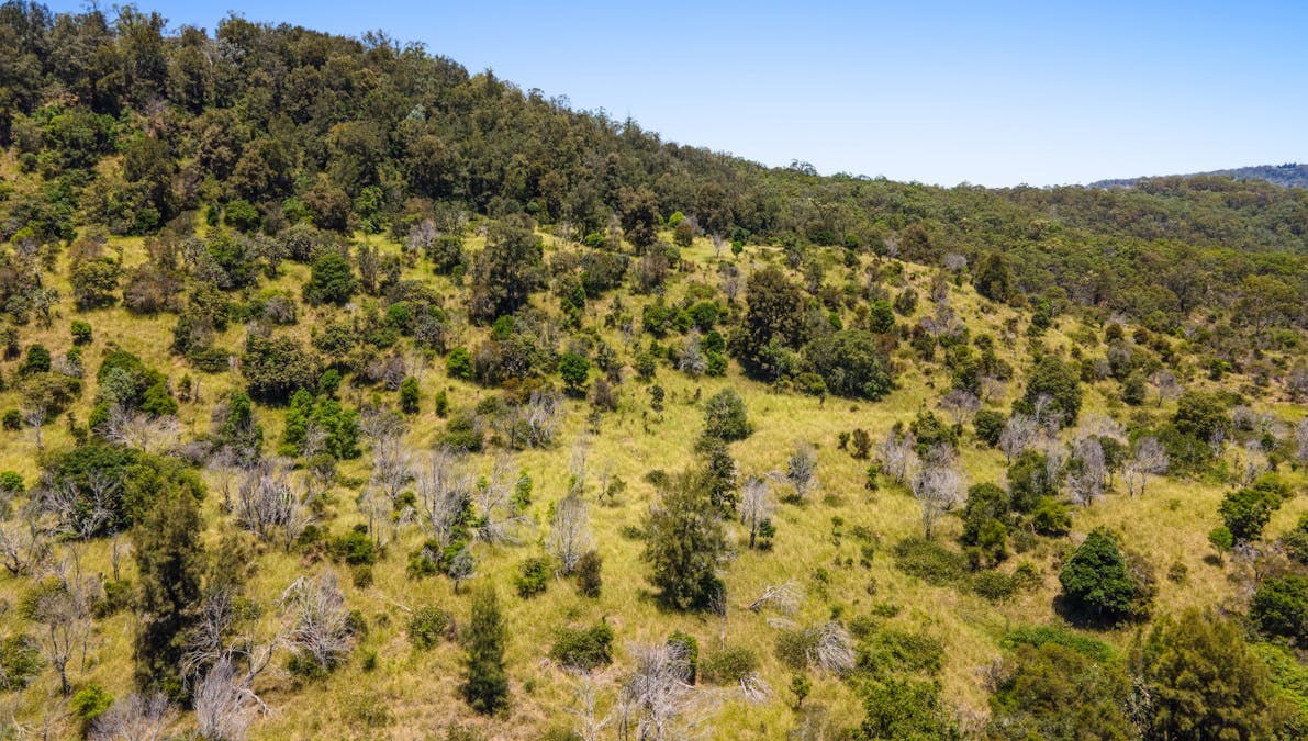 Lot 31 Dolleys Road, Withcott, QLD, 4352 - Image 10