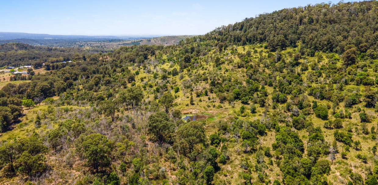 Lot 31 Dolleys Road, Withcott, QLD, 4352 - Image 12