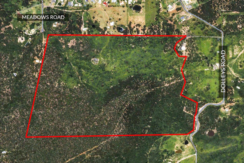 Lot 31 Dolleys Road, Withcott, QLD, 4352 - Image 13