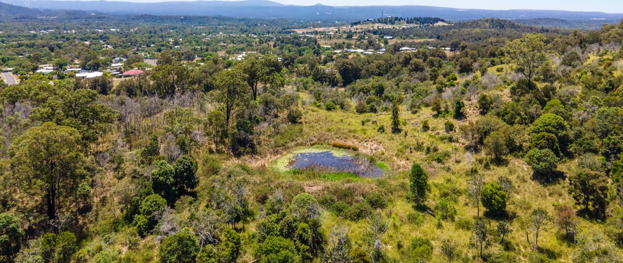 Lot 31 Dolleys Road, Withcott, QLD, 4352 - Image 5