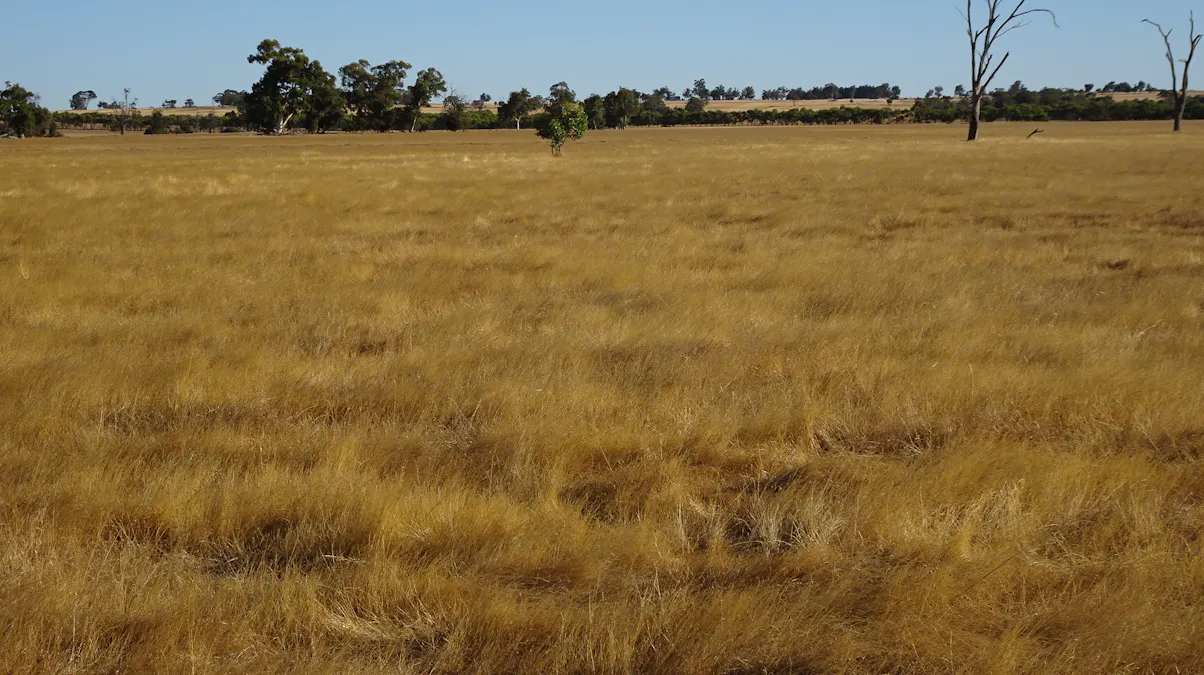 Koobadong Road, Piesseville, WA, 6315 - Image 20