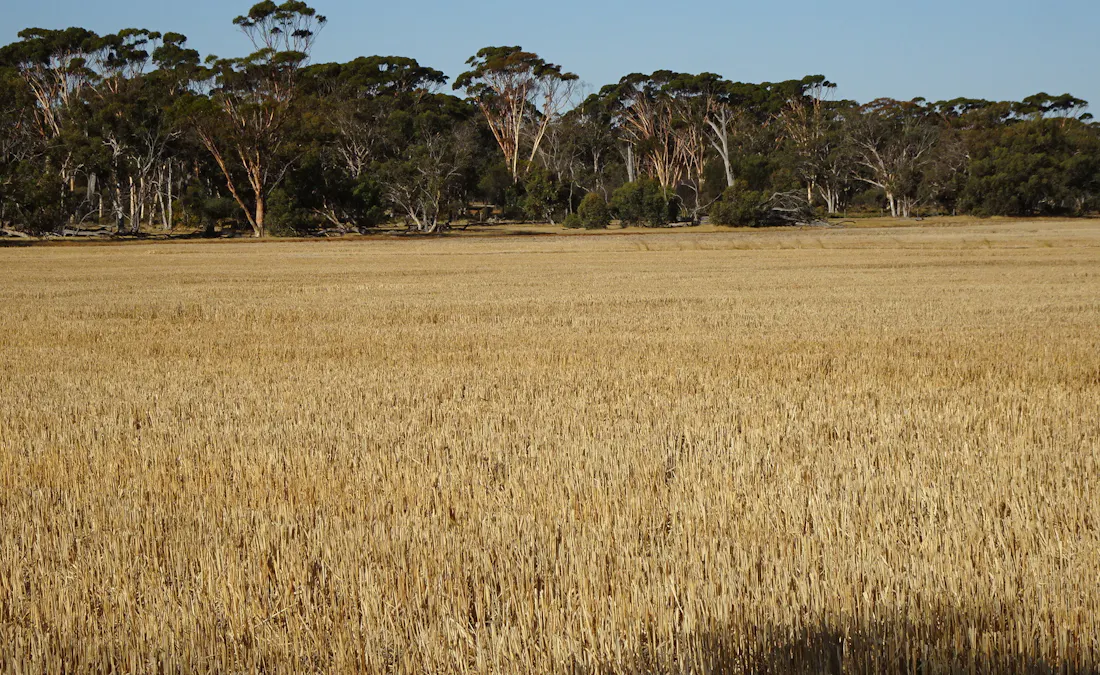 Koobadong Road, Piesseville, WA, 6315 - Image 3