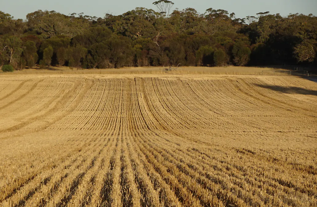 Koobadong Road, Piesseville, WA, 6315 - Image 5