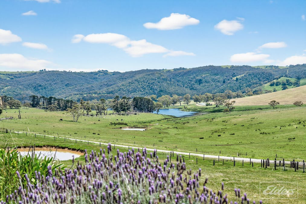 31 Polwarth Drive, Inman Valley, SA, 5211 - Image 5