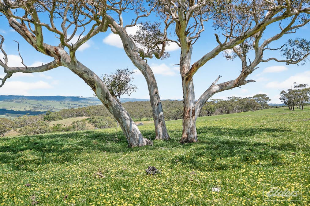 31 Polwarth Drive, Inman Valley, SA, 5211 - Image 31