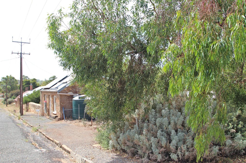 5 Truro Street, Burra, SA, 5417 - Image 20