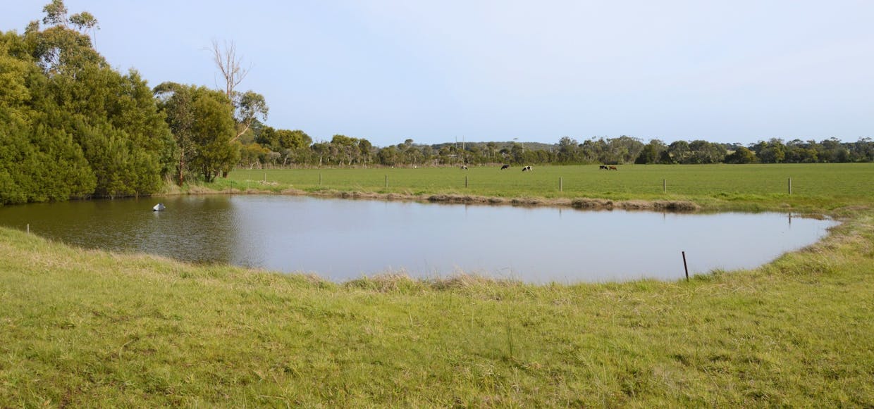 7715 Bass Highway, Leongatha South, VIC, 3953 - Image 1