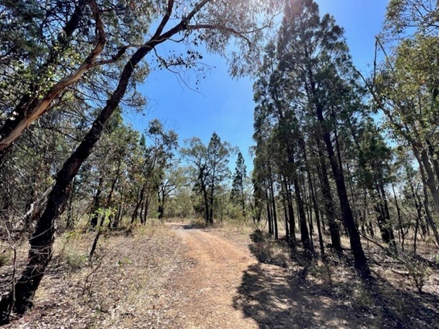 25 Caringa Road, Godfreys Creek, NSW, 2586 - Image 4