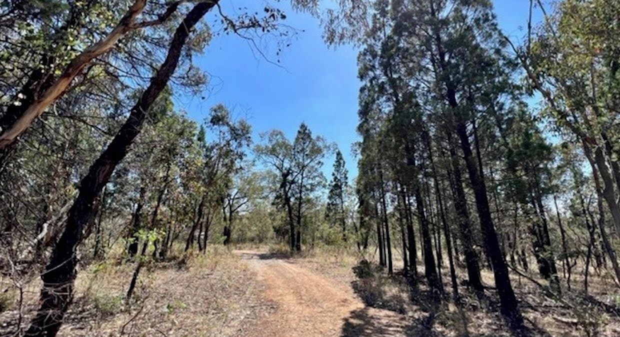 25 Caringa Road, Godfreys Creek, NSW, 2586 - Image 4