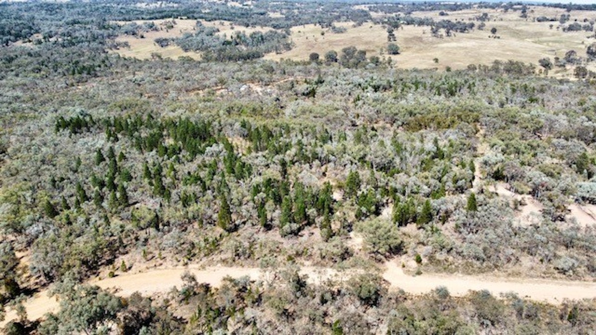 25 Caringa Road, Godfreys Creek, NSW, 2586 - Image 7