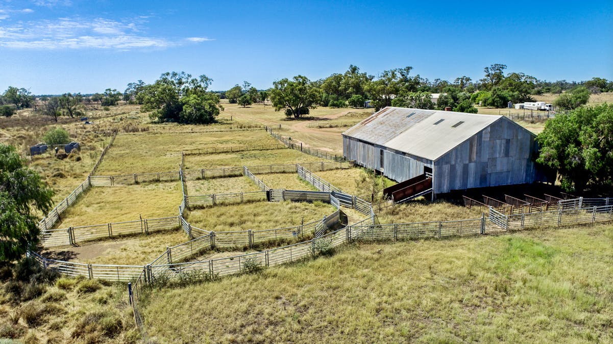 12040 Pilliga Road, Coonamble, NSW, 2829 - Image 19