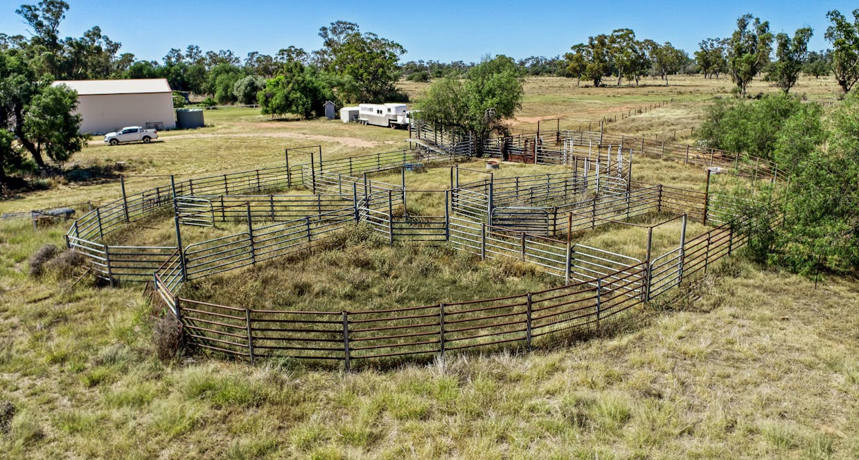 12040 Pilliga Road, Coonamble, NSW, 2829 - Image 20