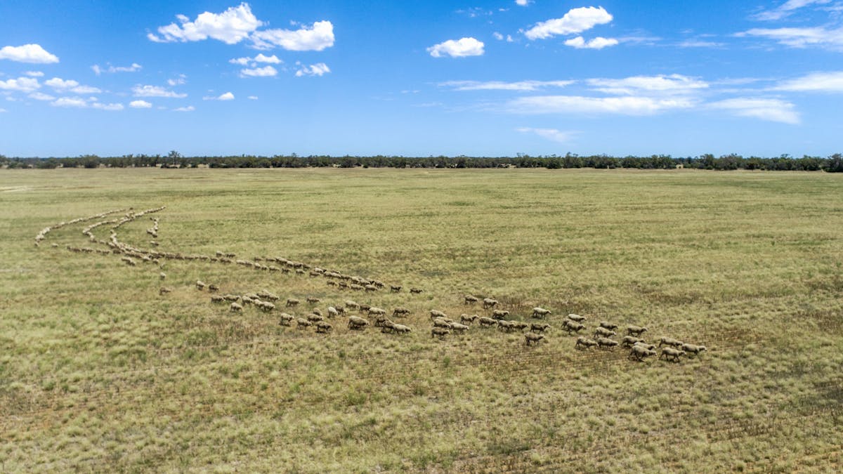 12040 Pilliga Road, Coonamble, NSW, 2829 - Image 9