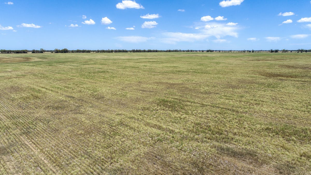 12040 Pilliga Road, Coonamble, NSW, 2829 - Image 13