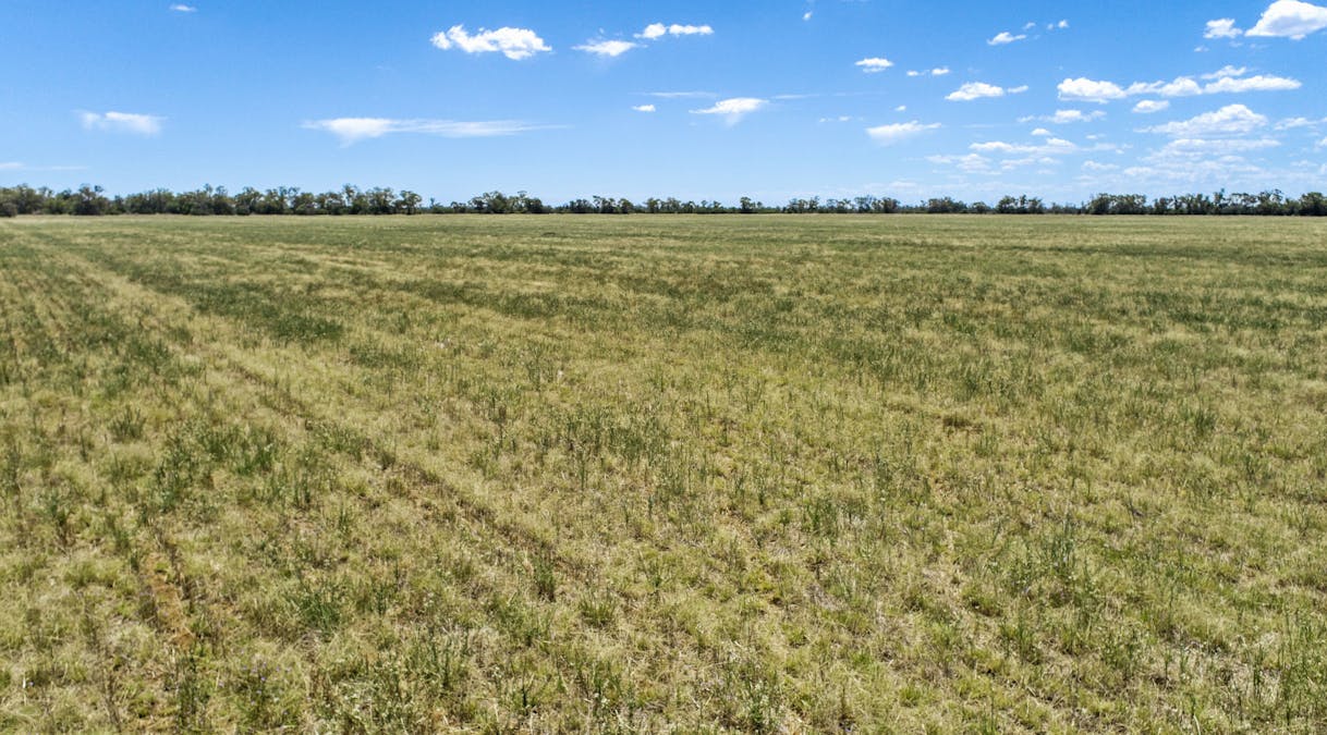 12040 Pilliga Road, Coonamble, NSW, 2829 - Image 14