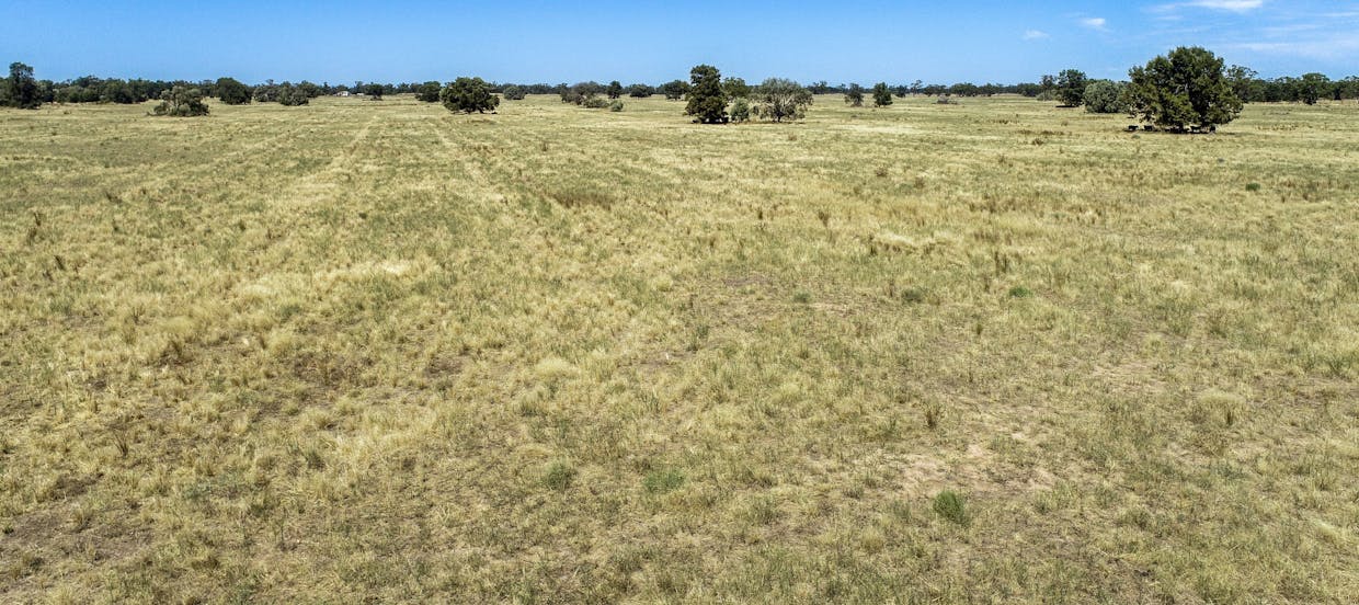 12040 Pilliga Road, Coonamble, NSW, 2829 - Image 10