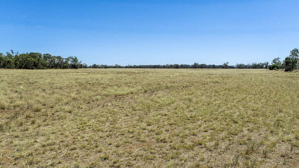12040 Pilliga Road, Coonamble, NSW, 2829 - Image 15
