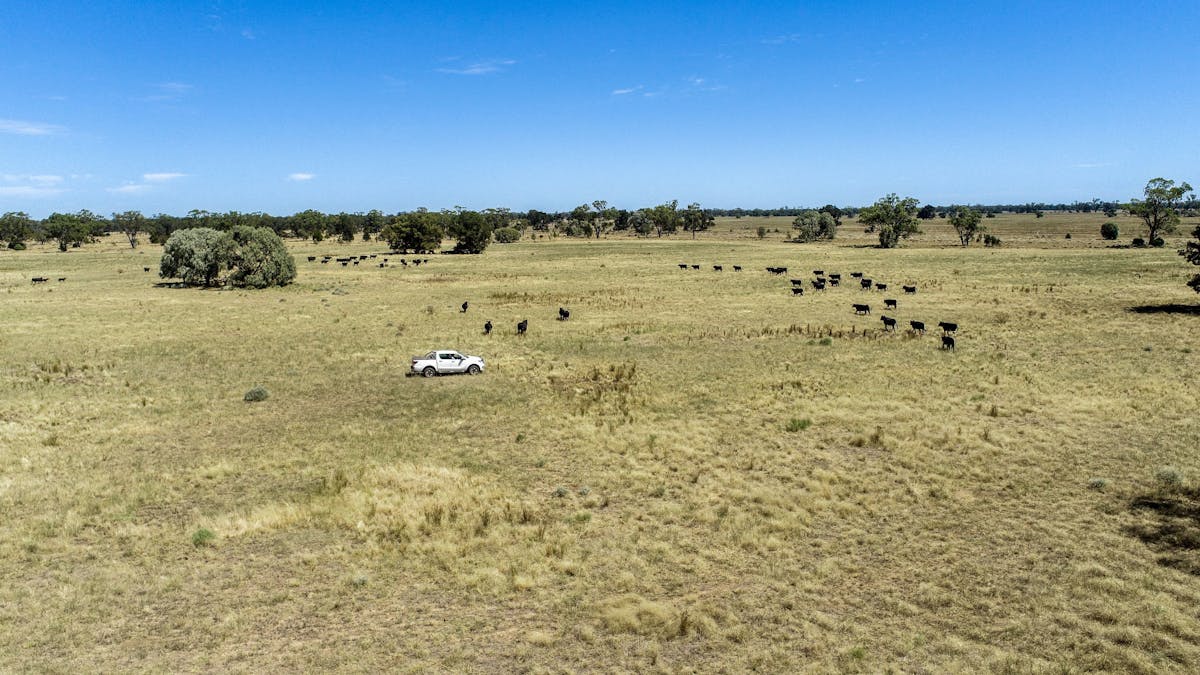 12040 Pilliga Road, Coonamble, NSW, 2829 - Image 16