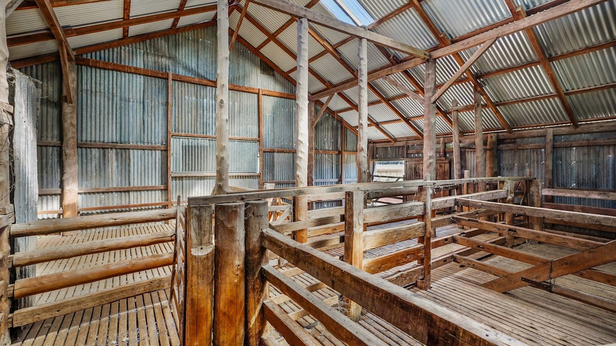 12040 Pilliga Road, Coonamble, NSW, 2829 - Image 22