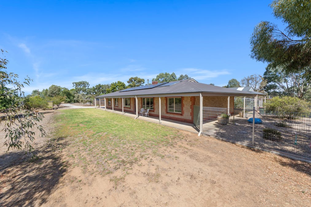 99 Tolley Road, Nuriootpa, SA, 5355 - Image 2