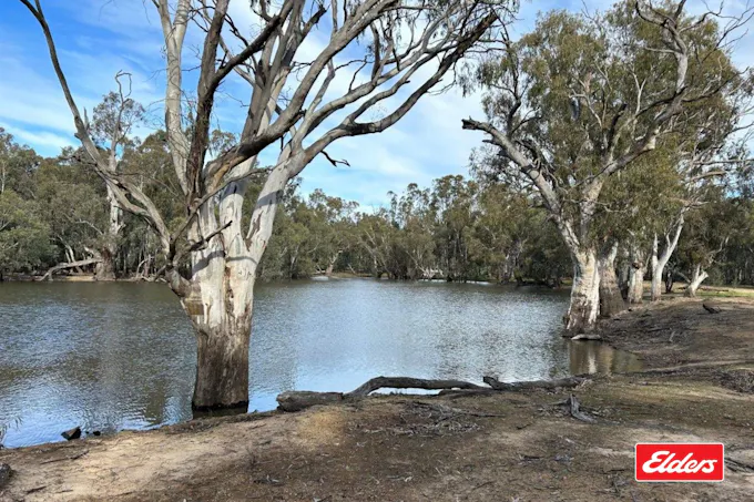 113 Perricoota Forest Road, Moama, NSW, 2731 - Image 1