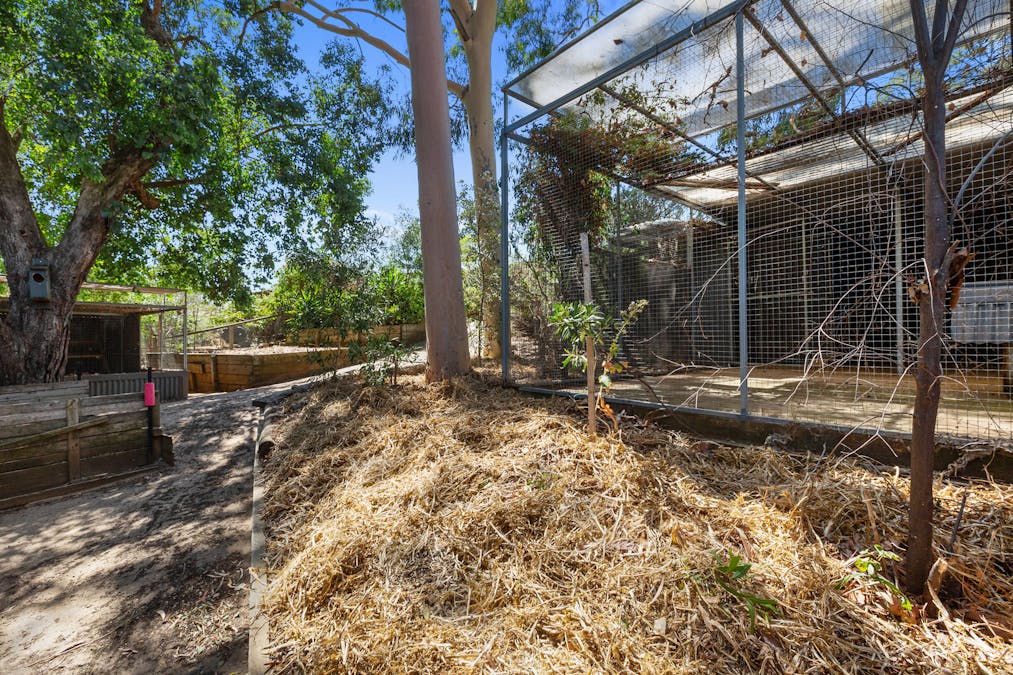 12 Light Road, Coromandel Valley, SA, 5051 - Image 29