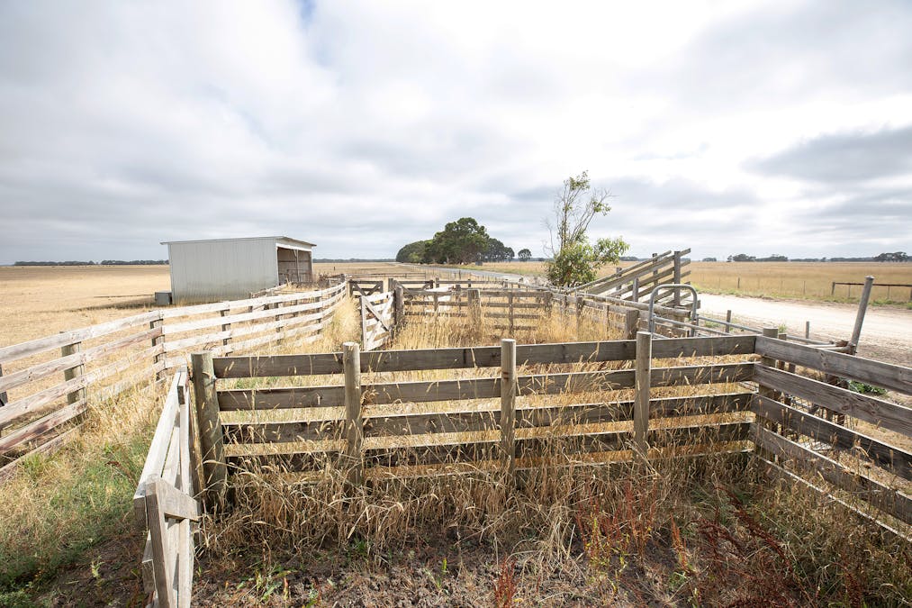 358 Mules Road, Millicent, SA, 5280 - Image 7