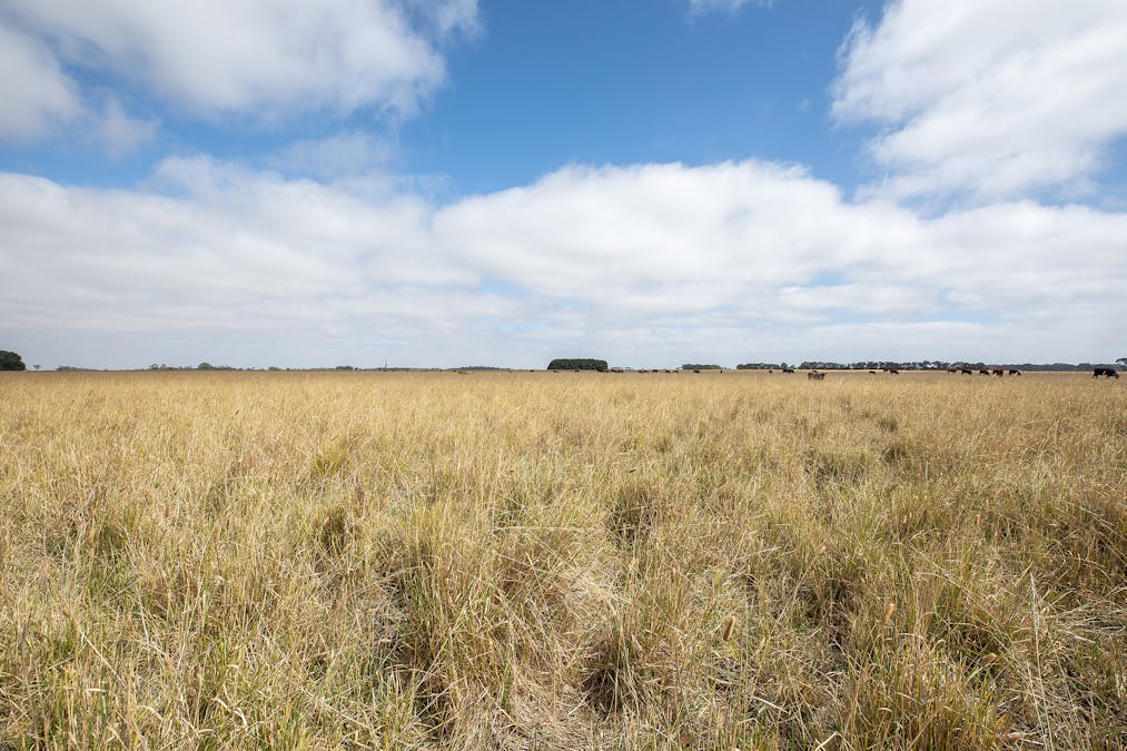 358 Mules Road, Millicent, SA, 5280 - Image 11