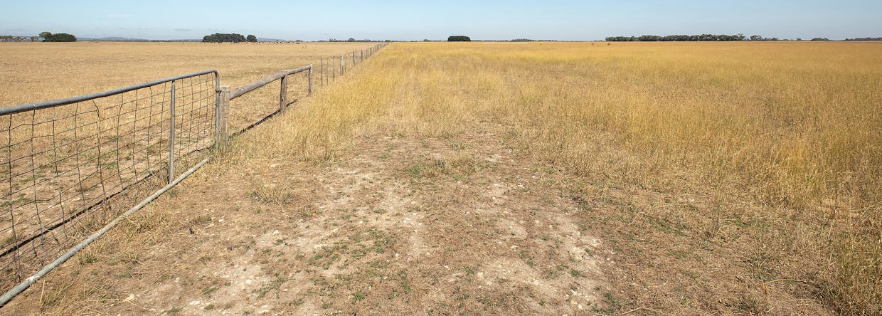 358 Mules Road, Millicent, SA, 5280 - Image 19