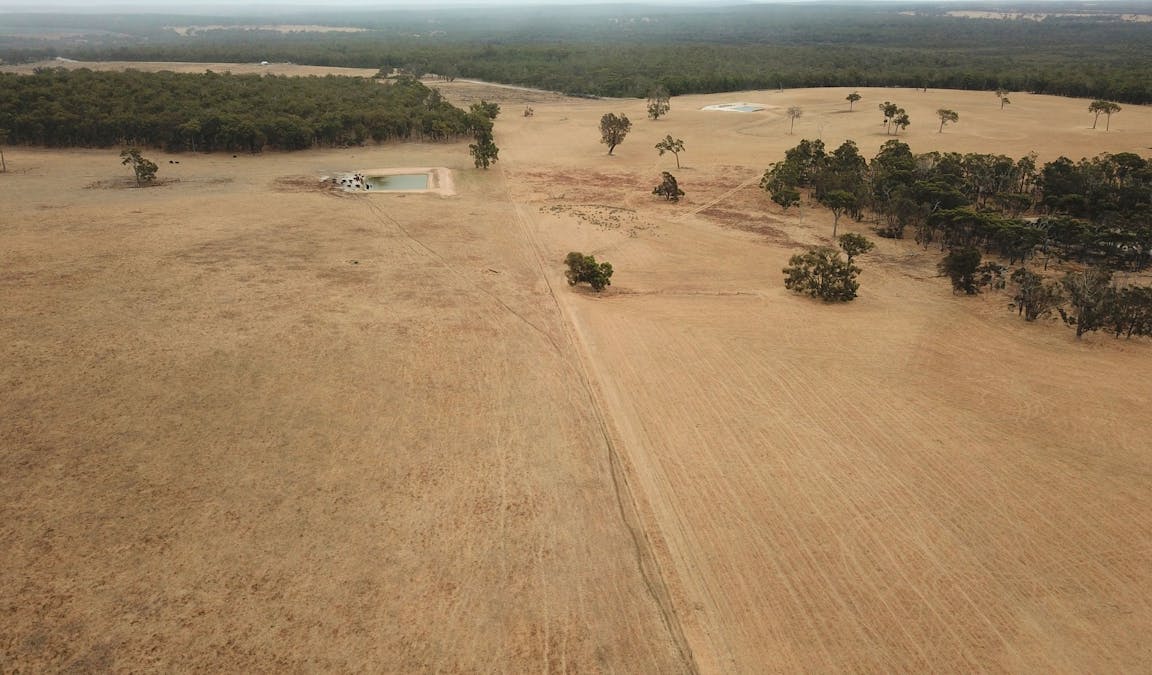 1426 Rocky Gully Road, Rocky Gully, WA, 6397 - Image 19