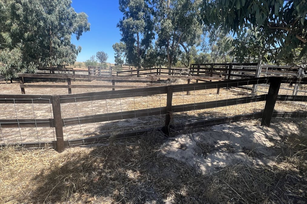 1056 Baan Hill Road, Lameroo, SA, 5302 - Image 10