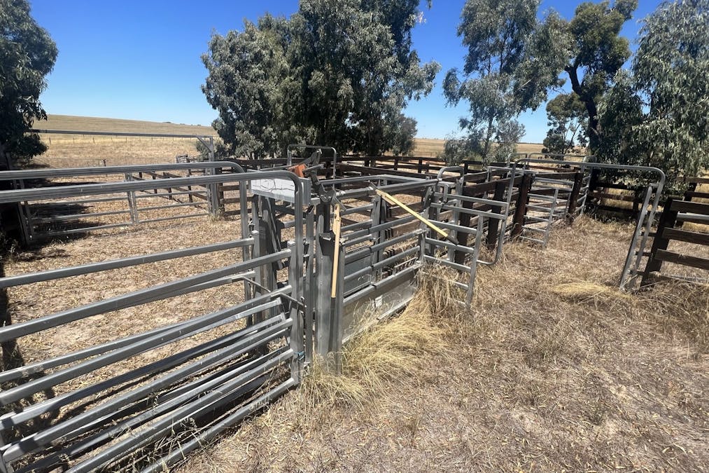 1056 Baan Hill Road, Lameroo, SA, 5302 - Image 11