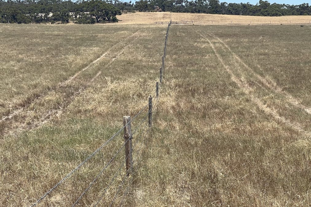 1056 Baan Hill Road, Lameroo, SA, 5302 - Image 1