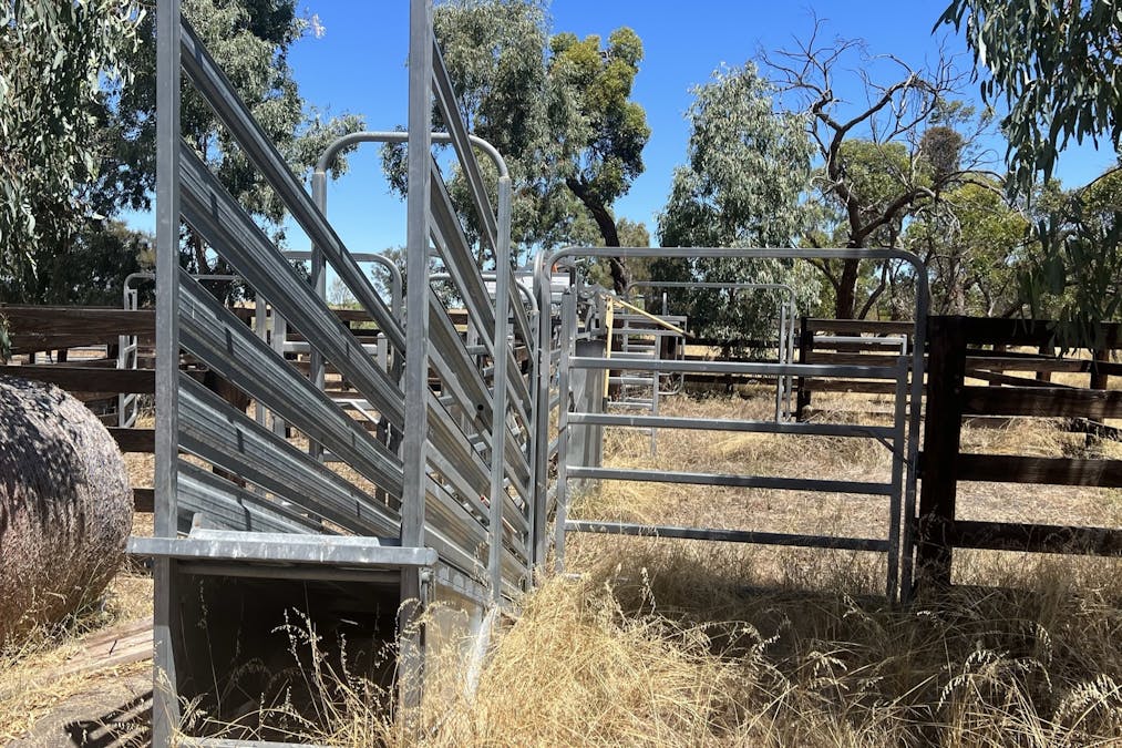 1056 Baan Hill Road, Lameroo, SA, 5302 - Image 2