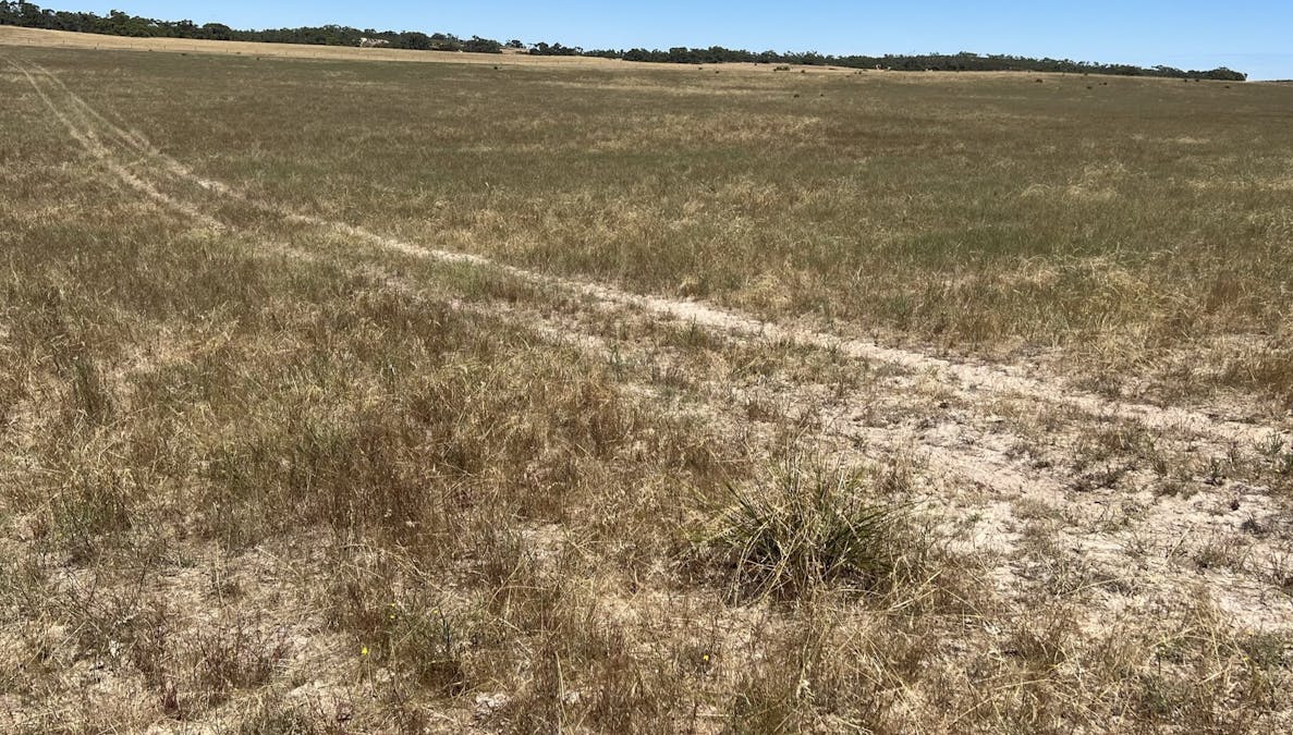 1056 Baan Hill Road, Lameroo, SA, 5302 - Image 13