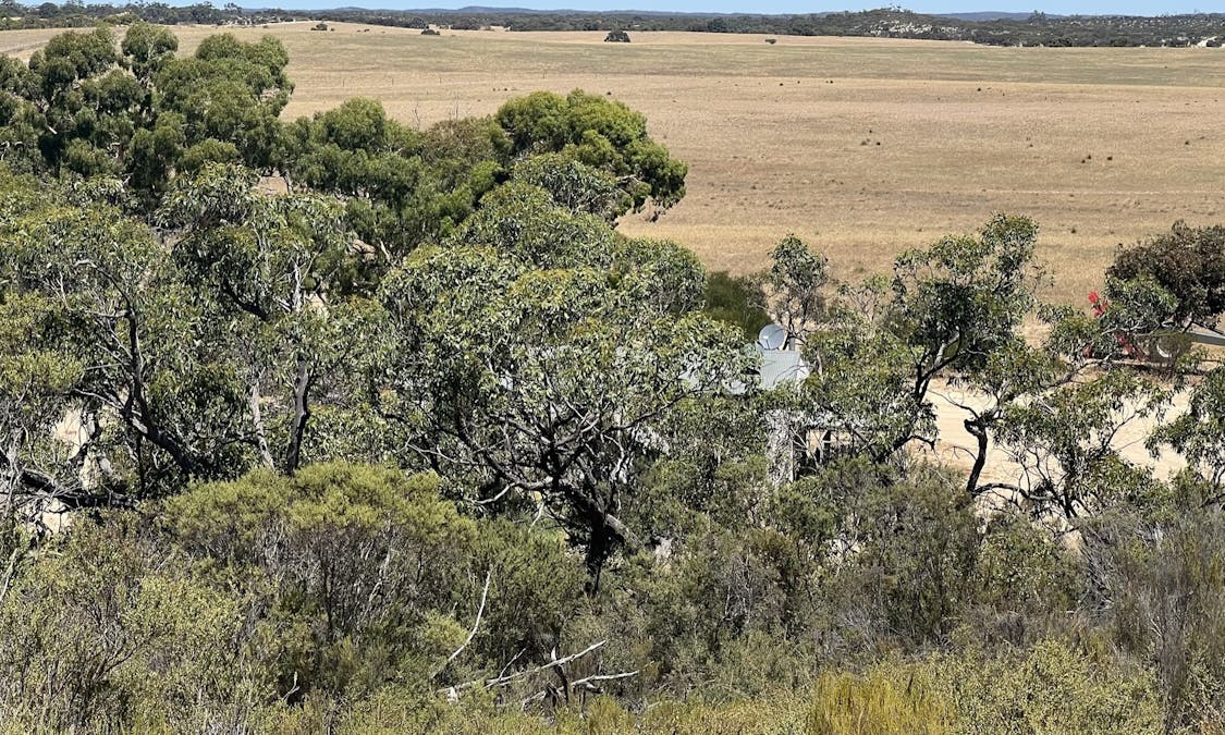 1056 Baan Hill Road, Lameroo, SA, 5302 - Image 16
