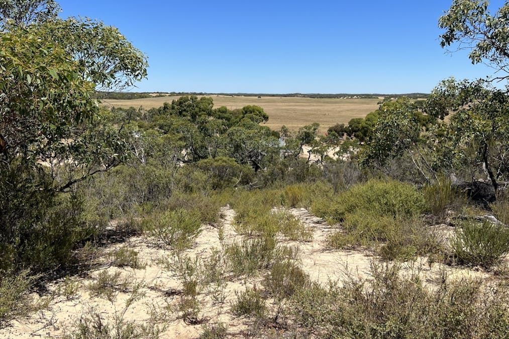1056 Baan Hill Road, Lameroo, SA, 5302 - Image 18