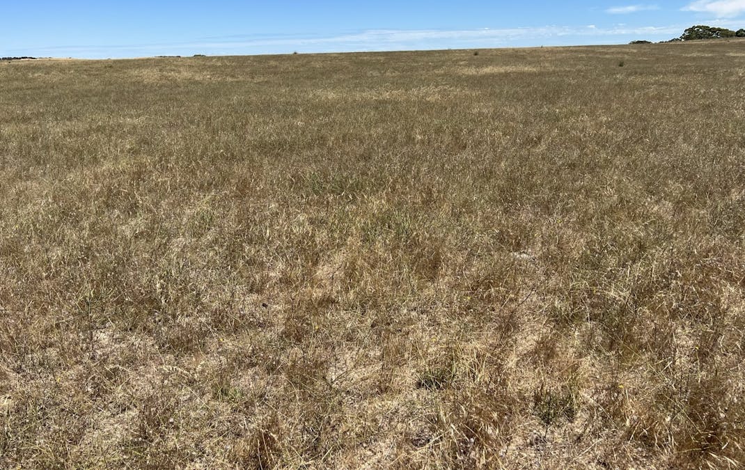 1056 Baan Hill Road, Lameroo, SA, 5302 - Image 19