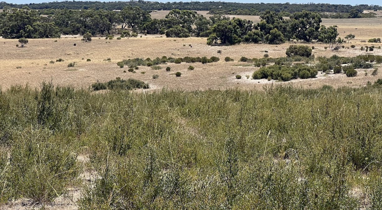 1056 Baan Hill Road, Lameroo, SA, 5302 - Image 17