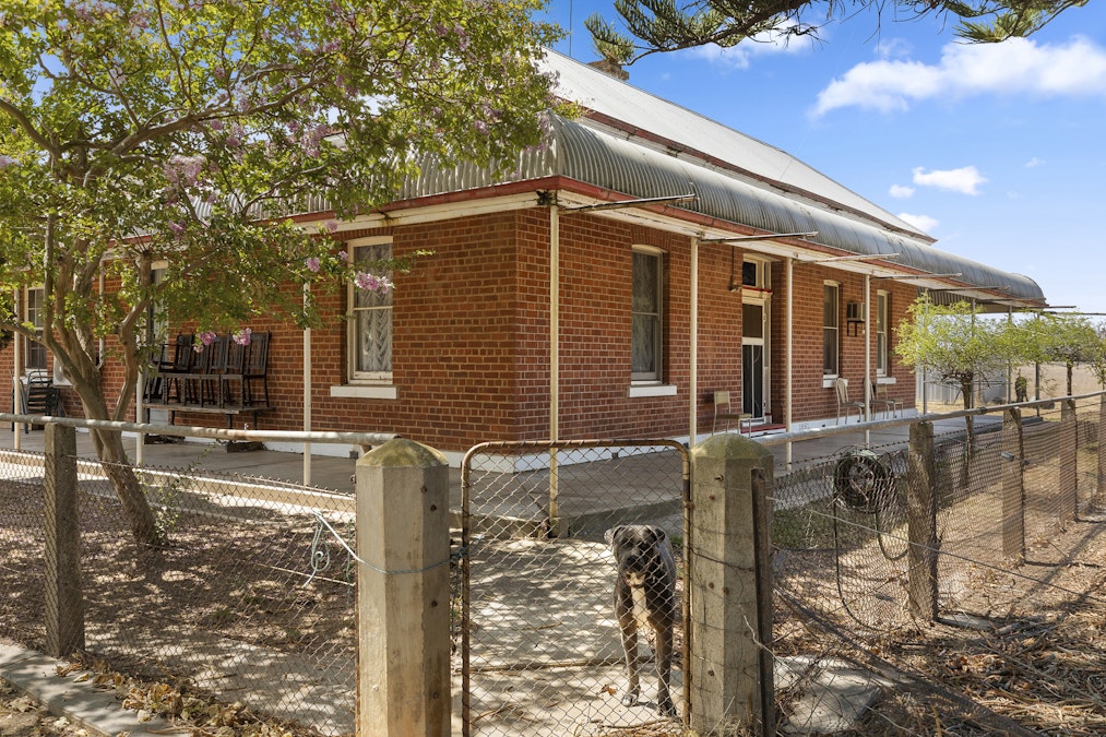 1613 Great Alpine Road, Tarrawingee, VIC, 3678 - Image 3